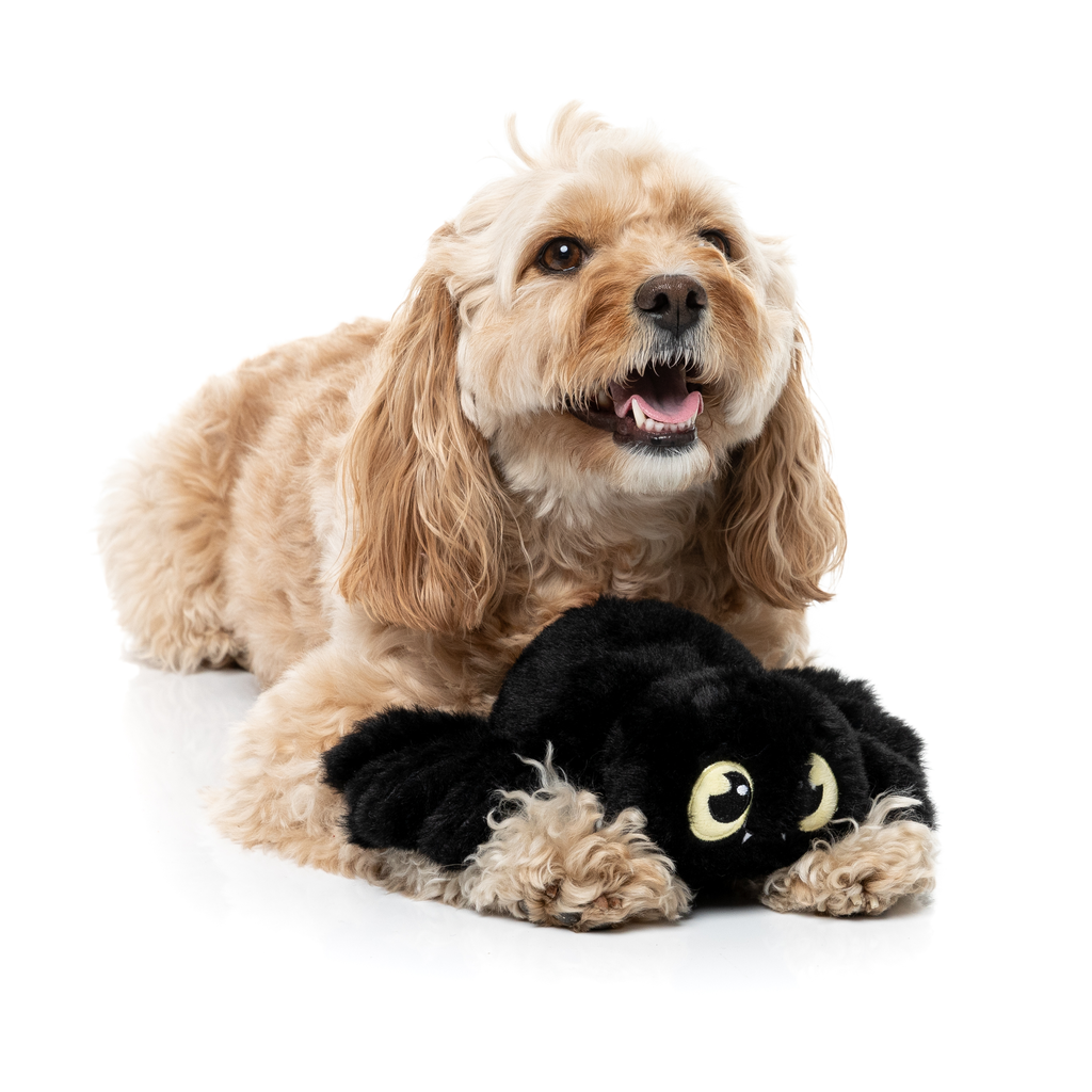 WEBASTIAN THE RED BACK - GIOCATTOLO PER CANI