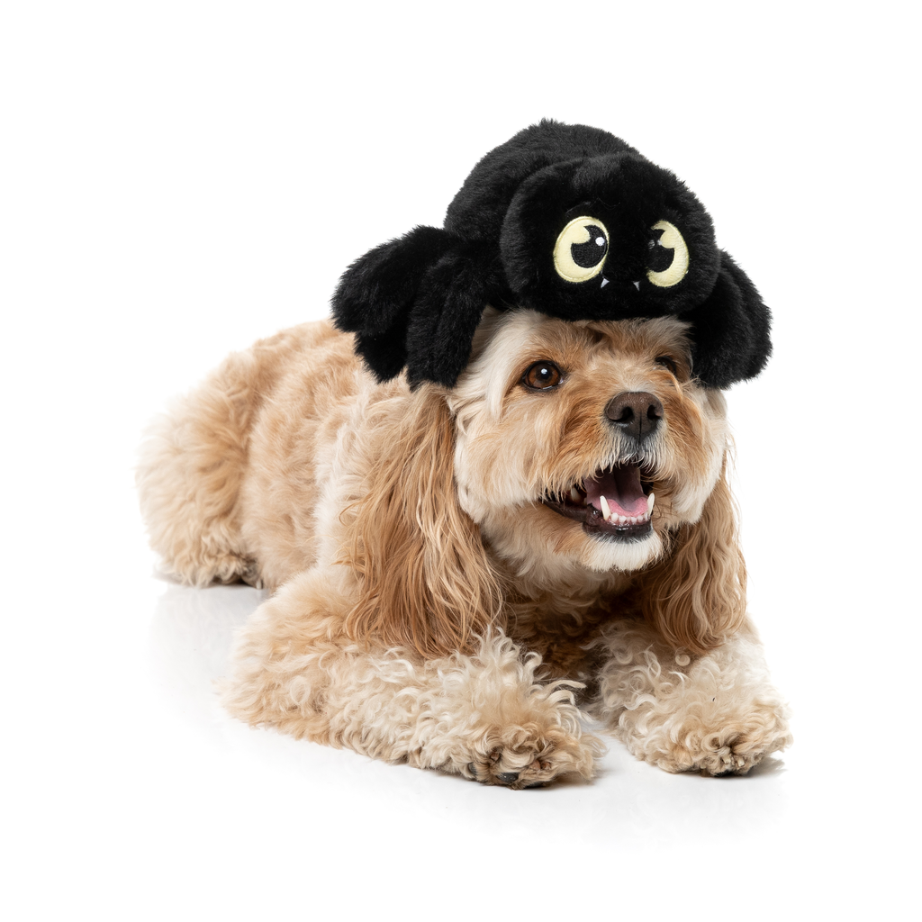 WEBASTIAN THE RED BACK - GIOCATTOLO PER CANI