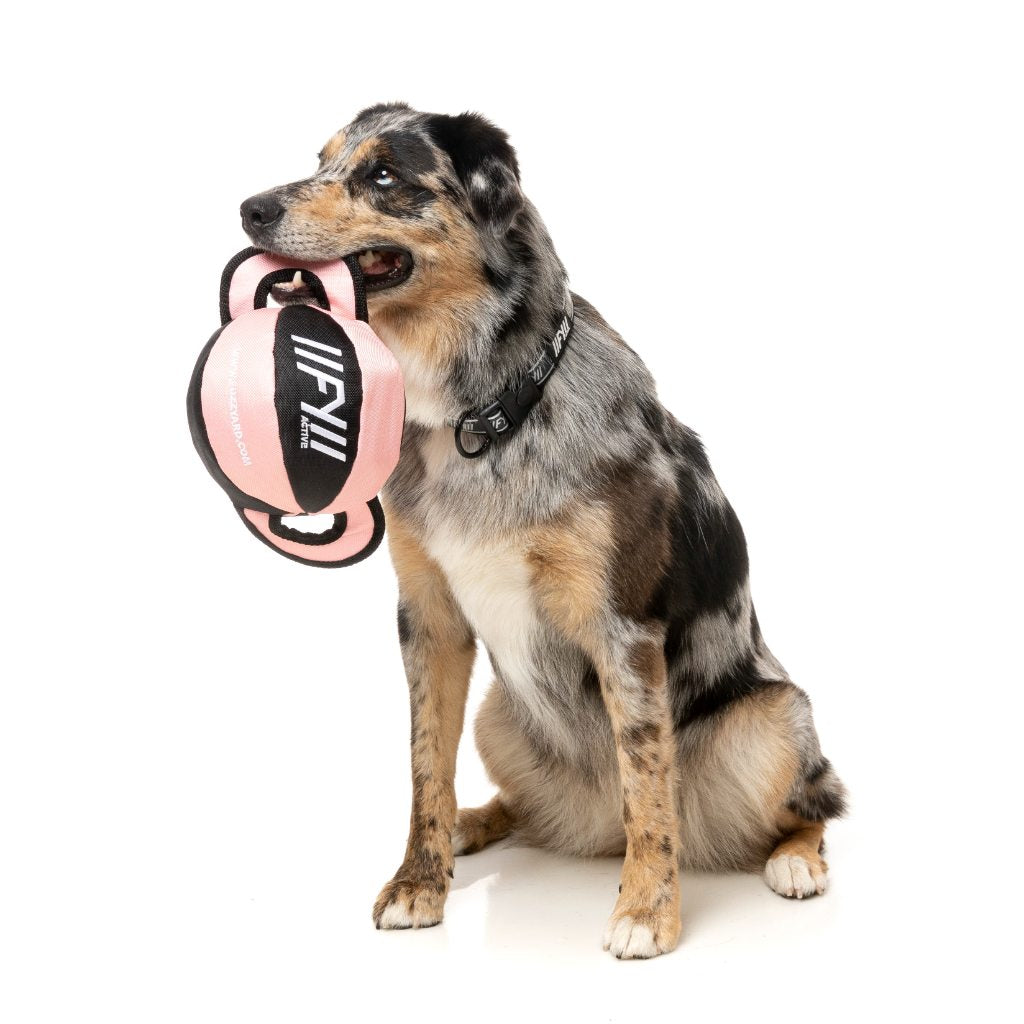 Juguete para perro pelota con asas FY Active