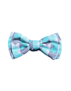 Mint Fizz - Papillon per cani e gatti