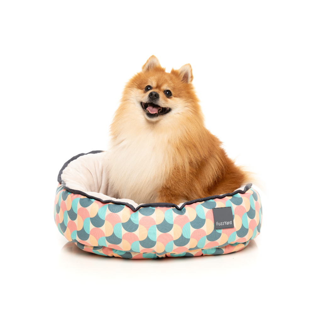Carioca - Cuccia reversibile per cani