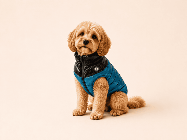 Abbigliamento FuzzYard