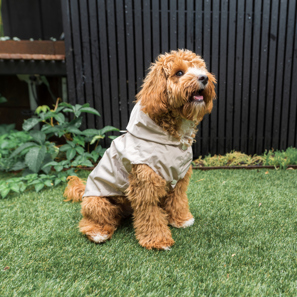 Sandstone - FuzzYard Life Raincoat