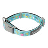 Wakey Wakey - Dog collar