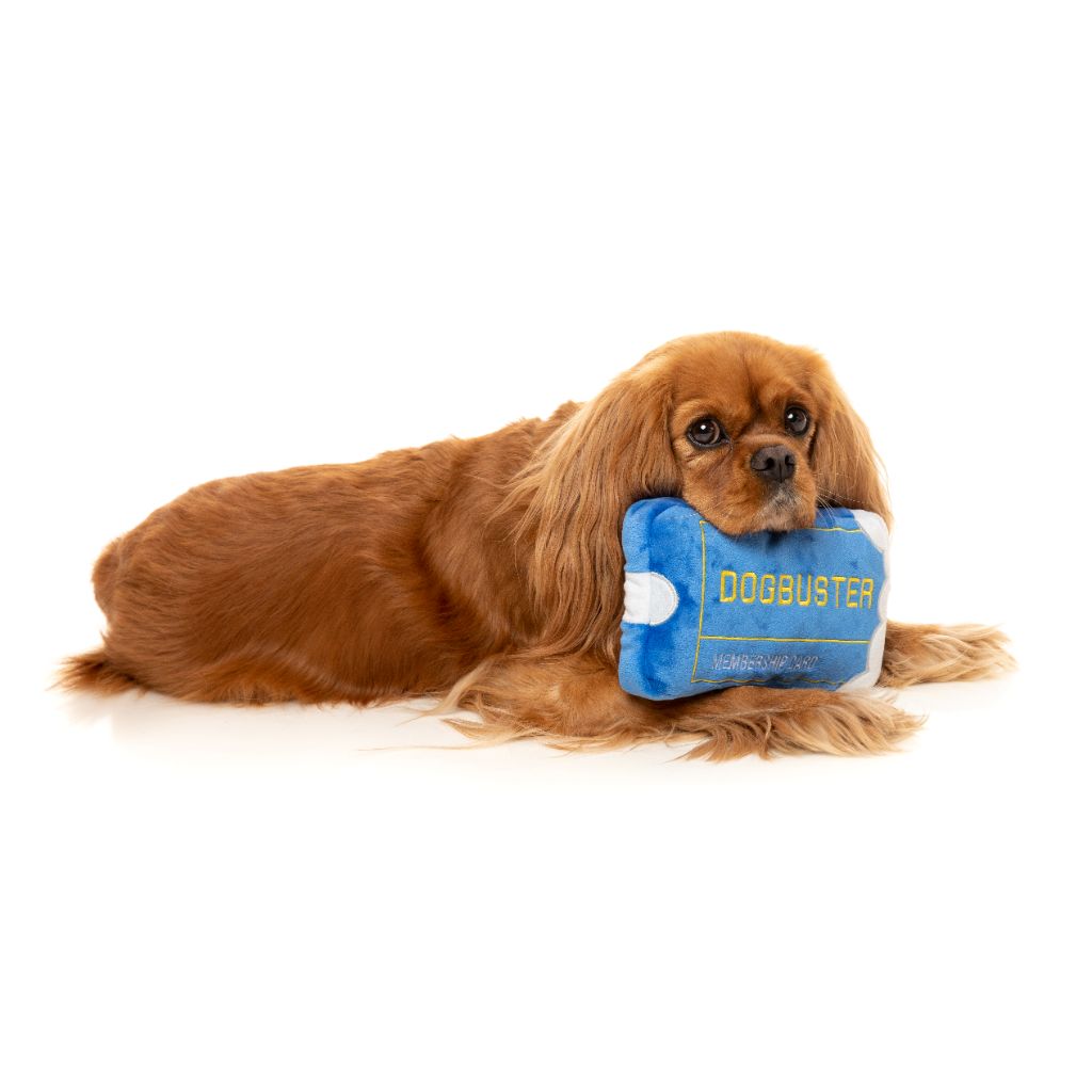 Dogbuster Card - Dog toy