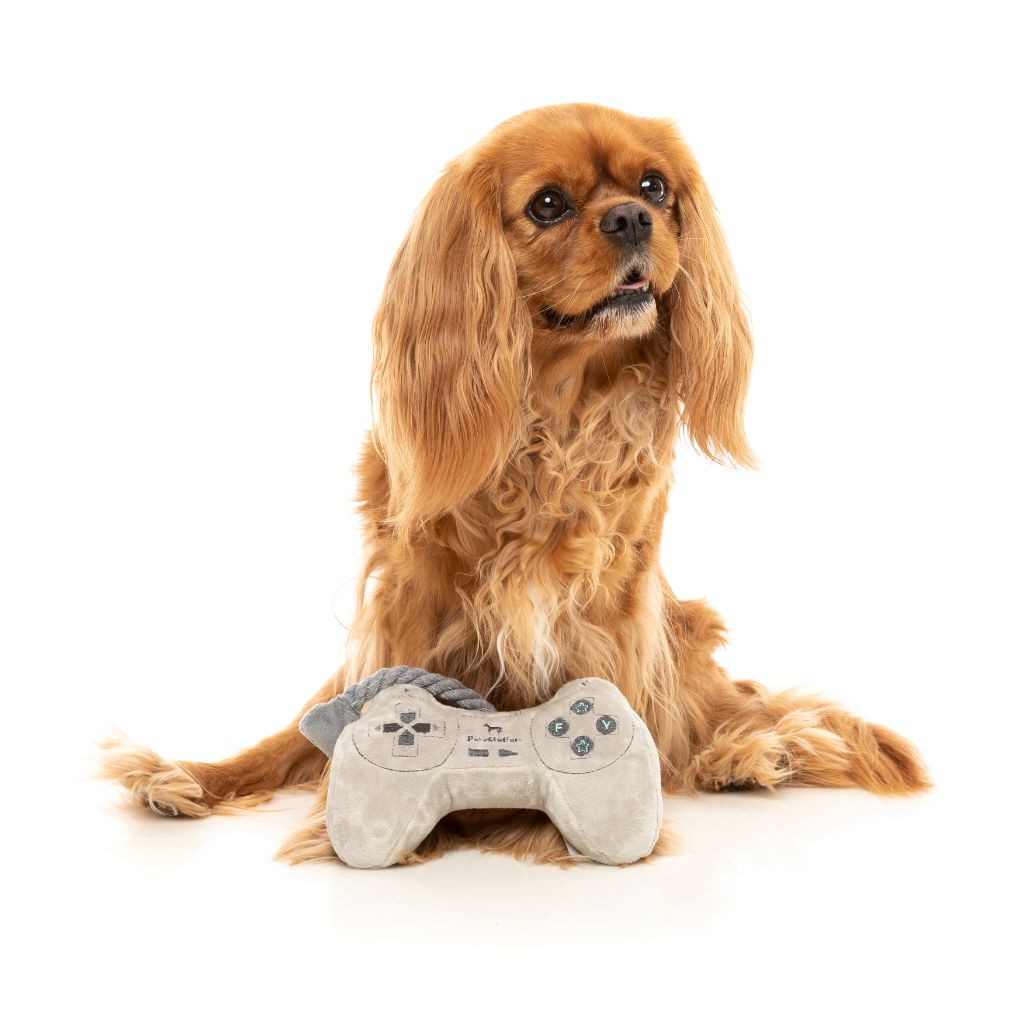 Pawstation Controller - Dog toy