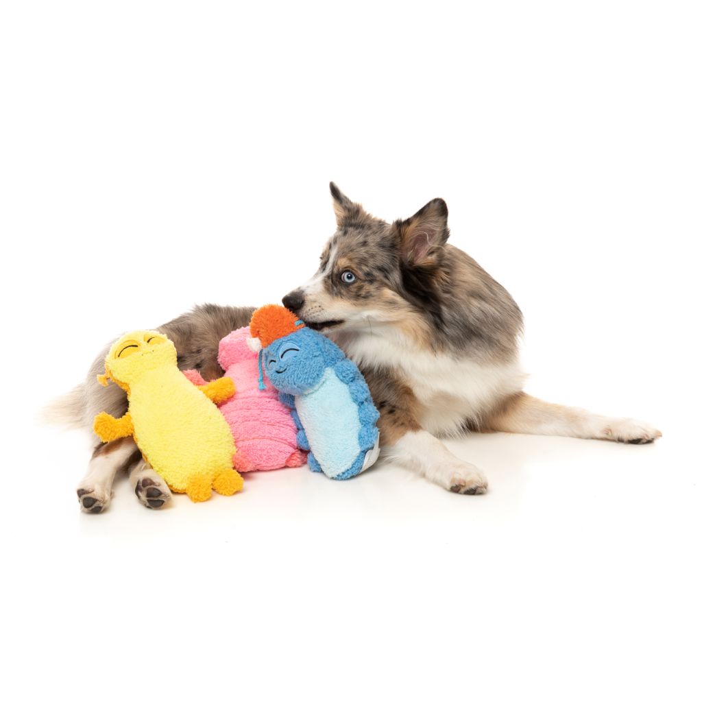 Rolly la cimice del letto - Giocattolo per cani