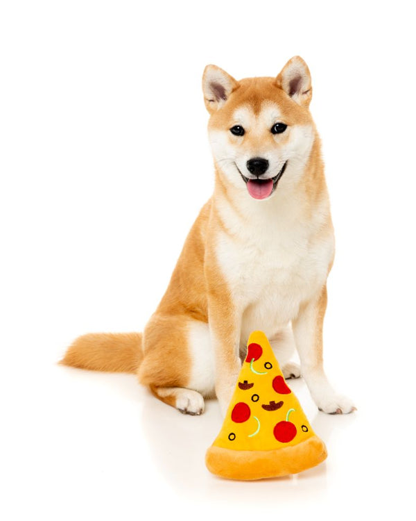 Fetta di pizza - Gioco per cani
