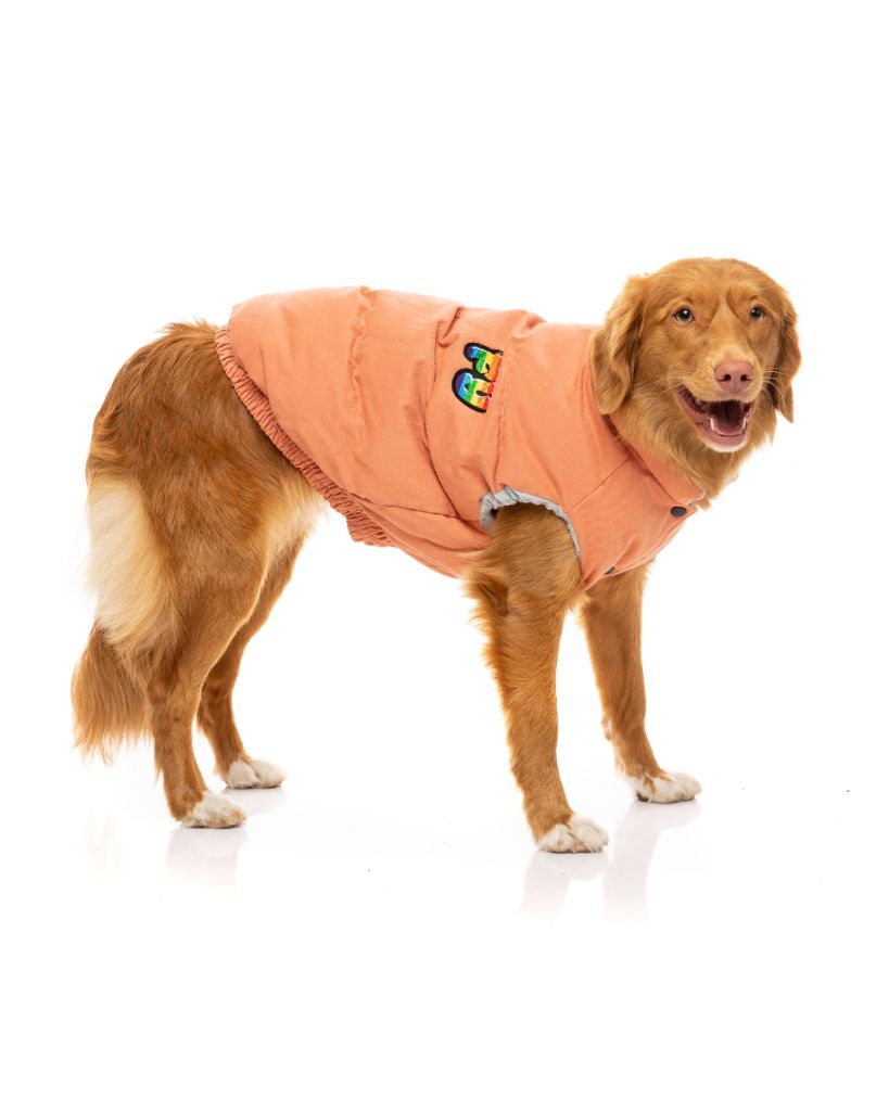 Giacca per cani - Ashbury
