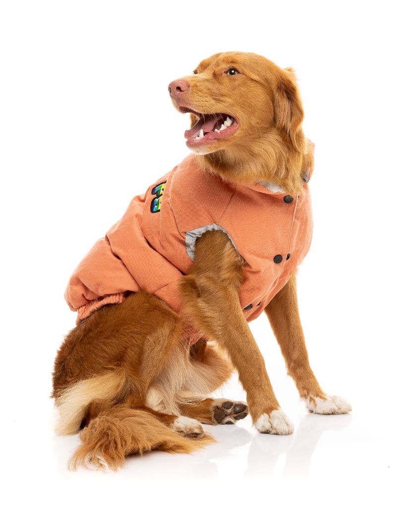 Giacca per cani - Ashbury