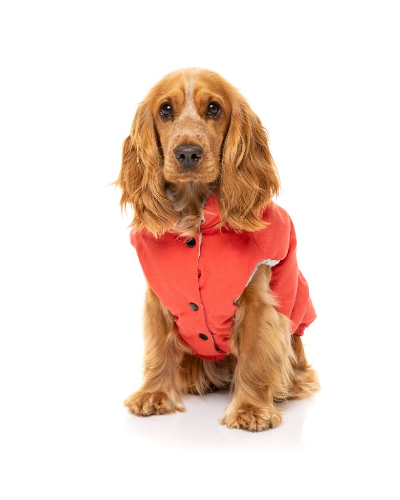 Giacca per cani - Ashbury
