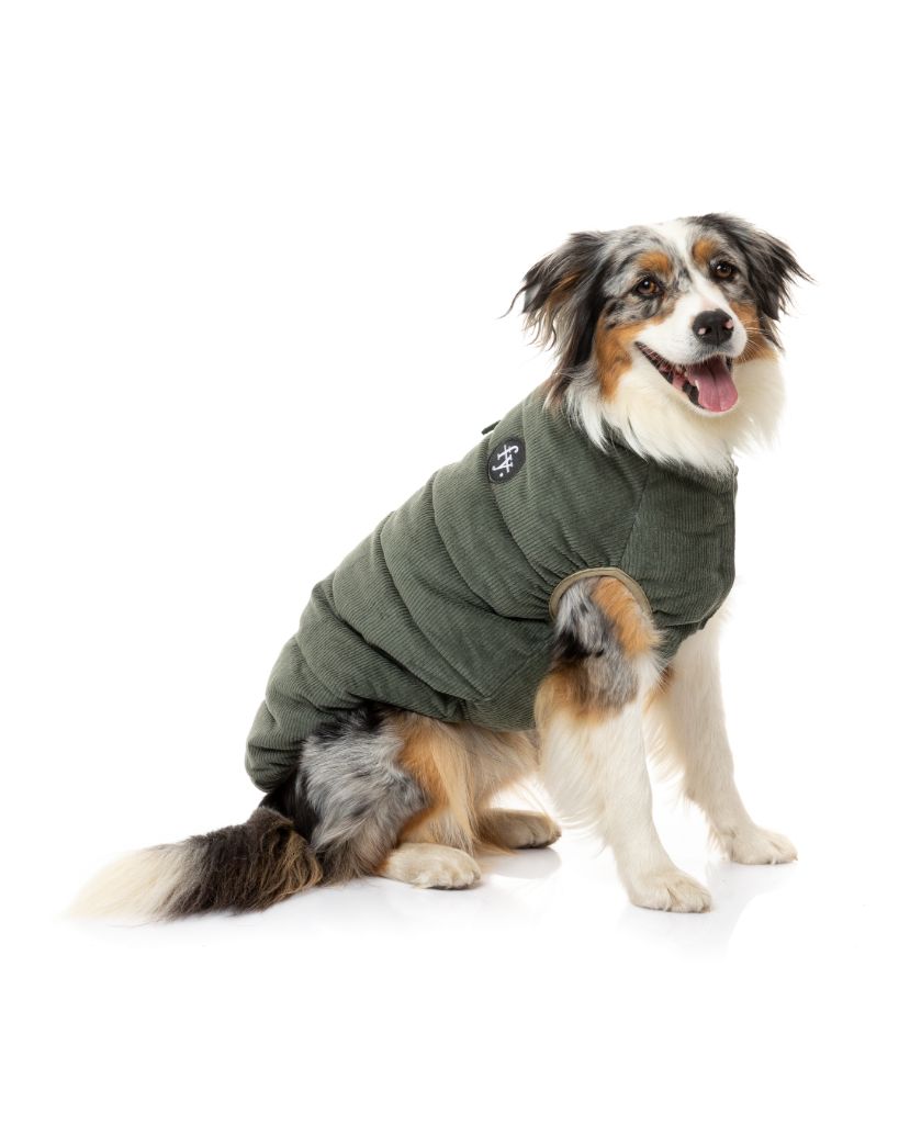 Giacca di velluto a coste per cani - Mosman Puffer