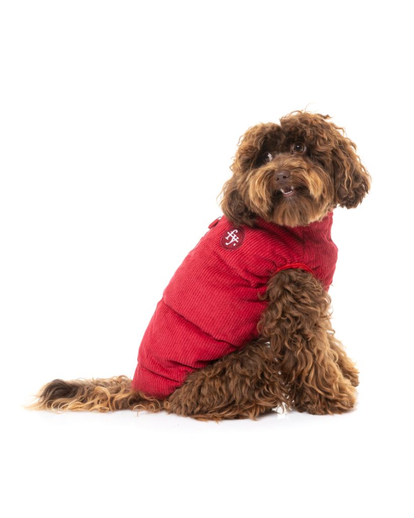 Giacca di velluto a coste per cani - Mosman Puffer