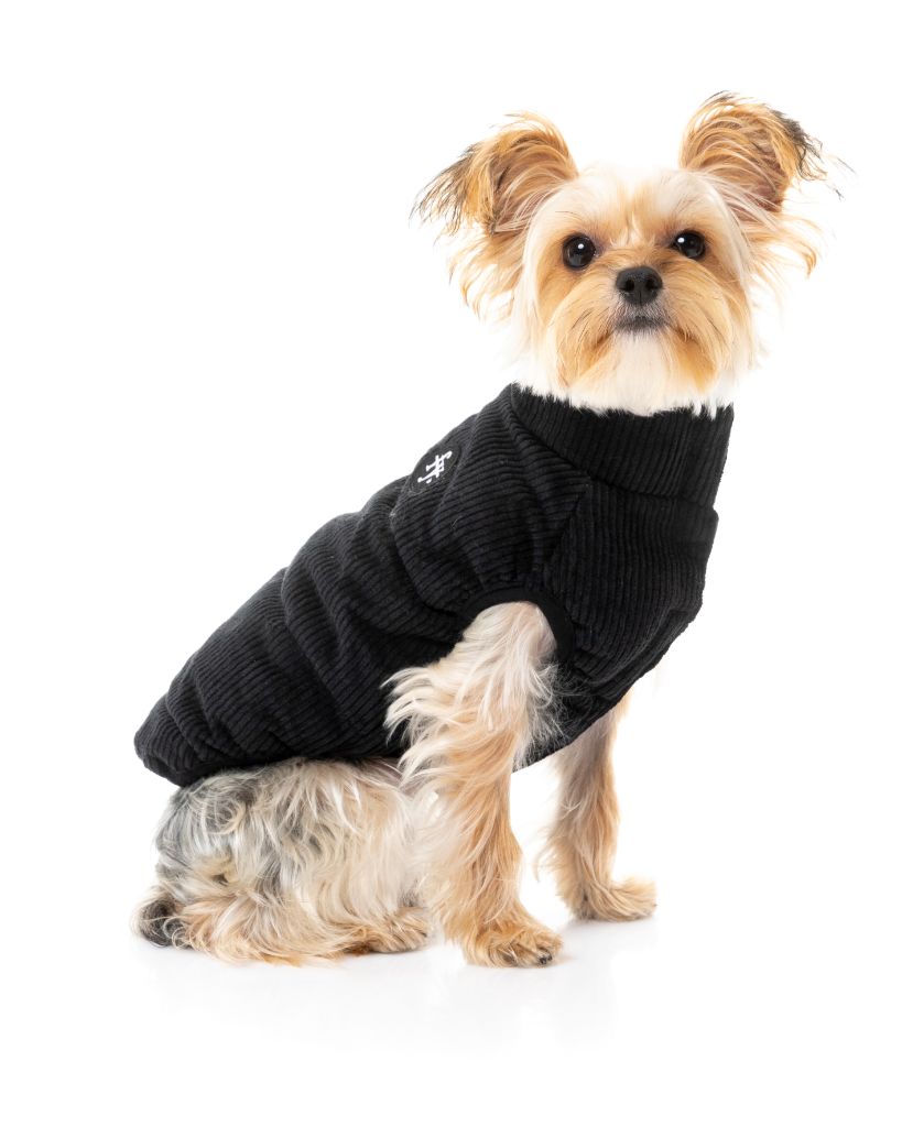 Giacca di velluto a coste per cani - Mosman Puffer
