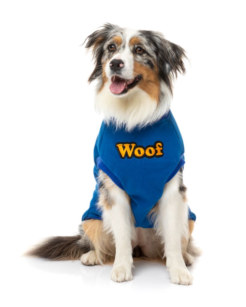 Maglione per cani - The Woof
