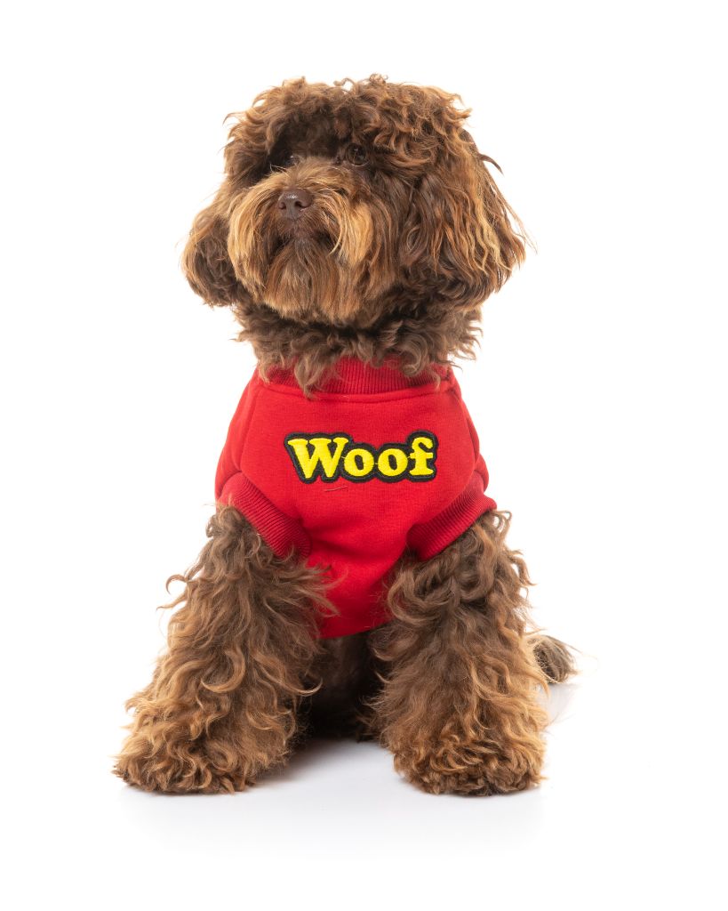 Maglione per cani - The Woof