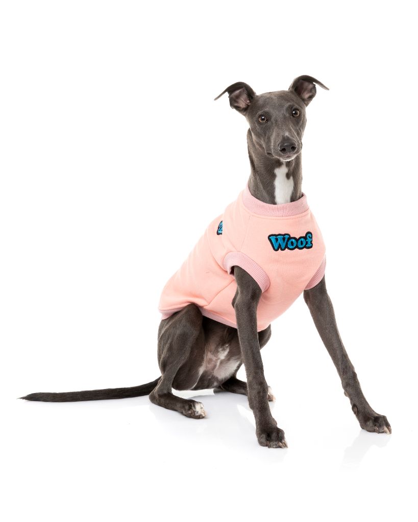 Maglione per cani - The Woof