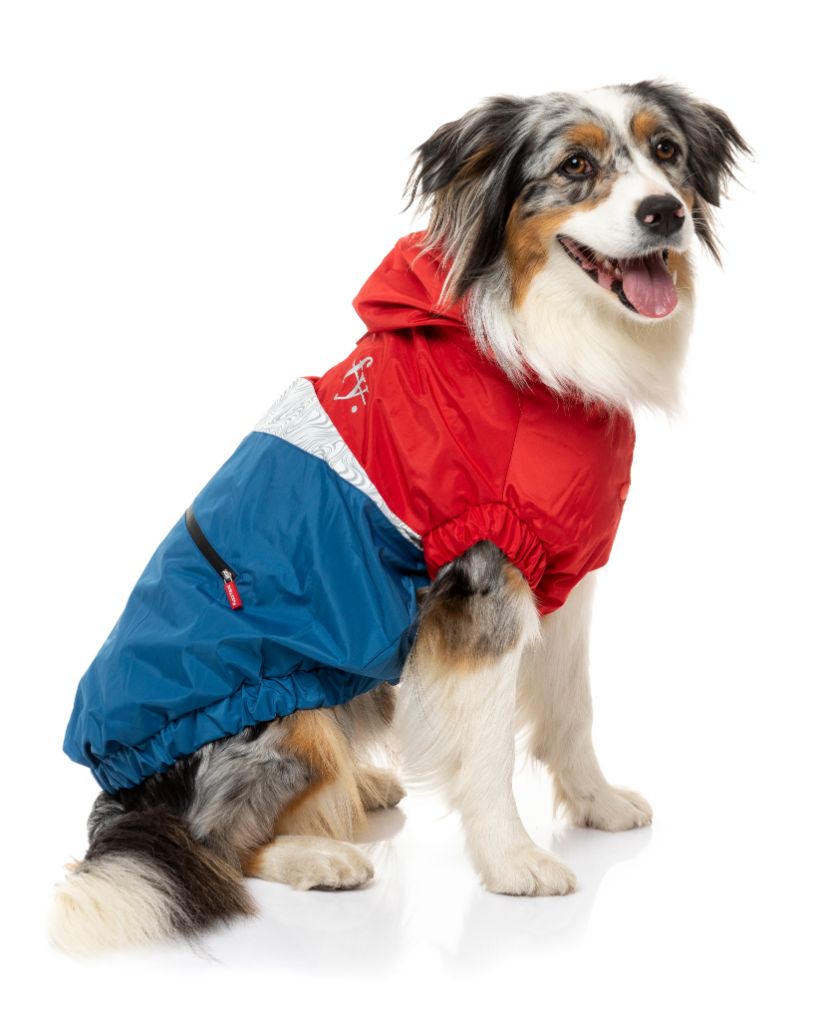 Impermeable y cortavientos para perros - Seattle