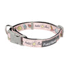 Hello Sun - Dog collar