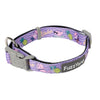 Aloha Dolphins - Dog collar